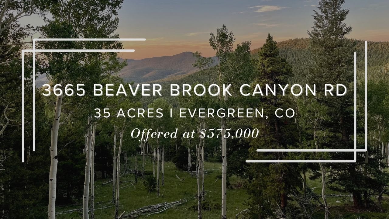 36 Private Acres in Evergreen, Colorado | 3665 Beaver Brook Canyon Road