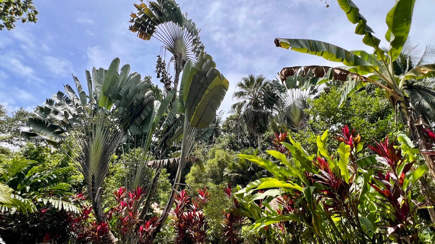 Tropical River Property with Cabinas, Pool & Event Space in Ojochal
