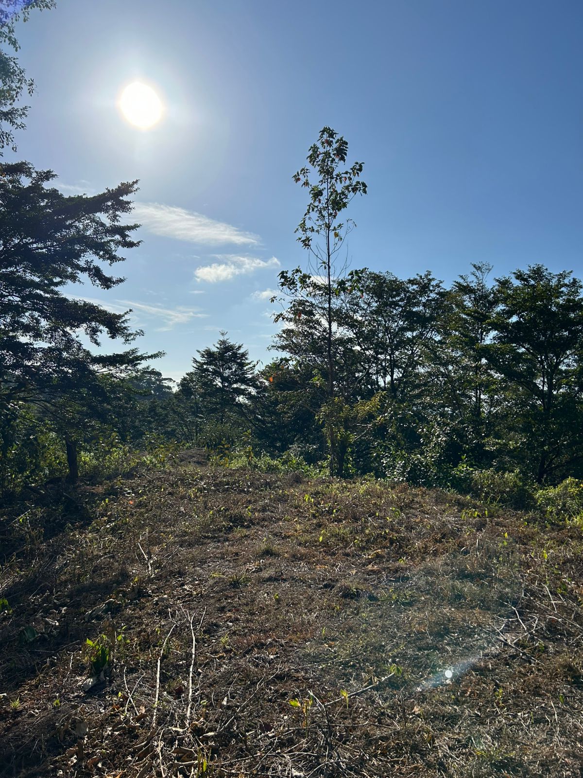 67 acres development (15 titled lots) with breathtaking views in Sierpe