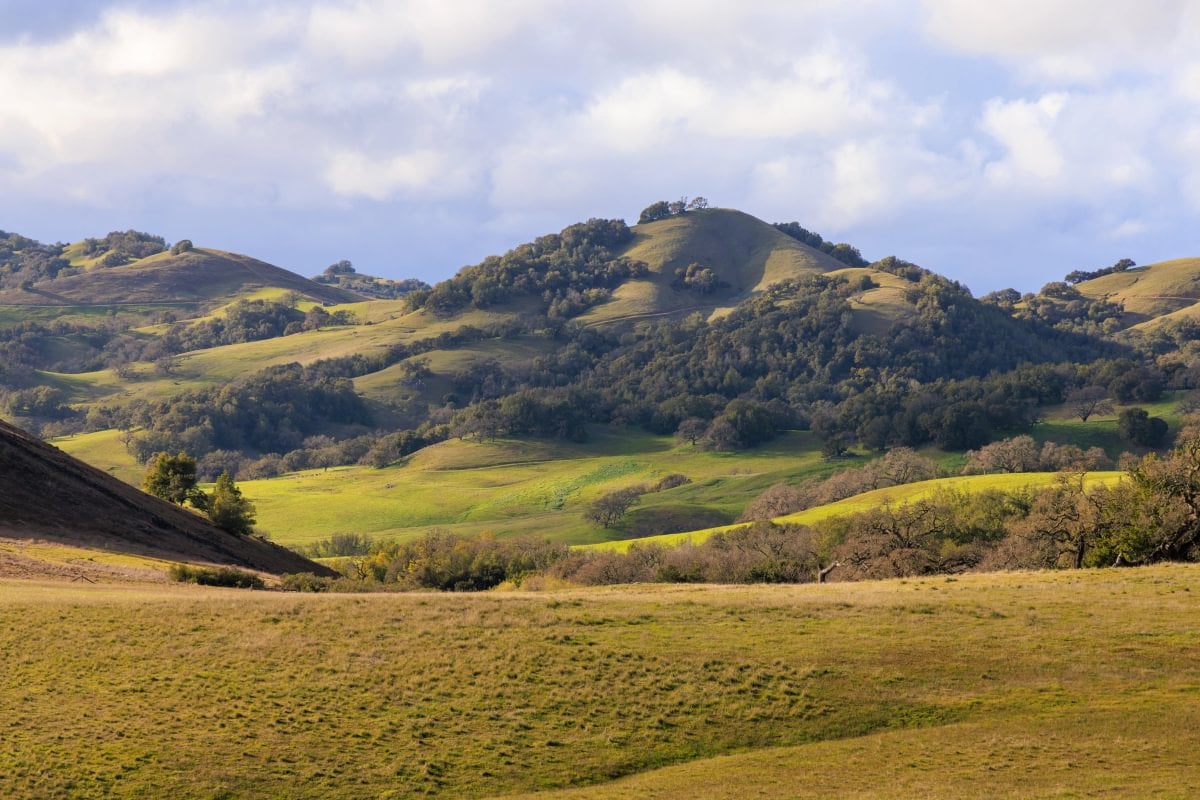 Marin County