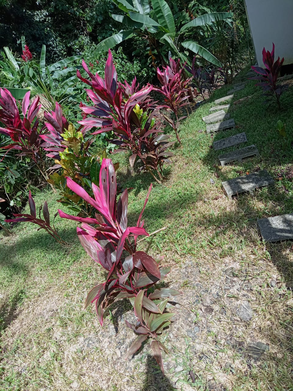 M. A. Ocean View Apt.