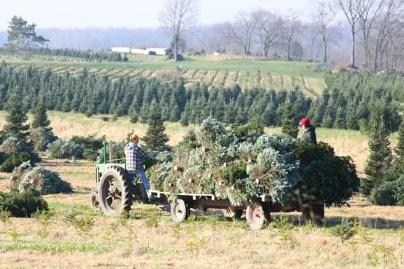 Life in the Country!
