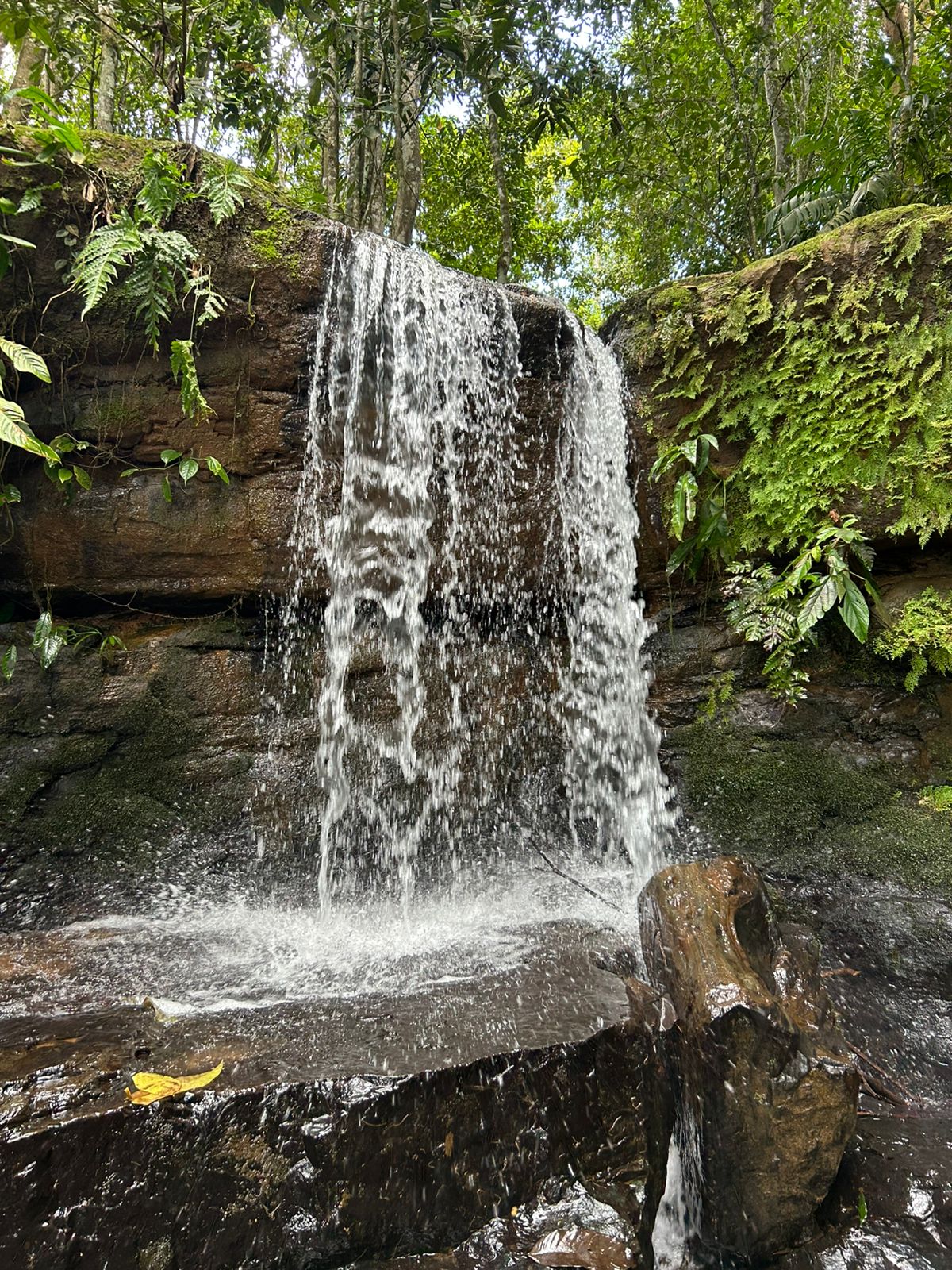 10-Acre Waterfall Farm with Amazing Valley and River View in San Isidro.