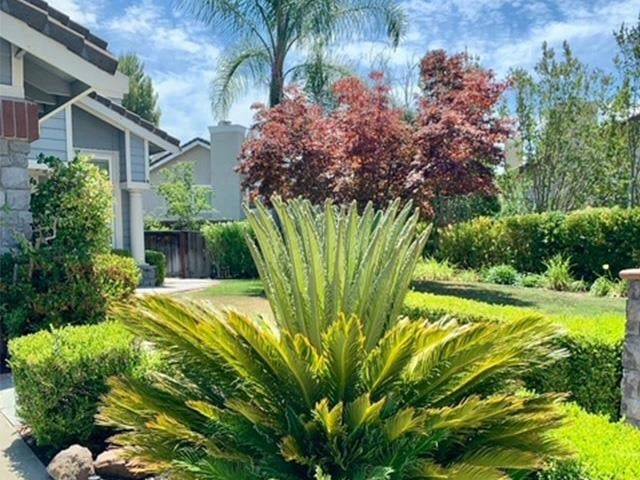 3421 Blackhawk Meadow