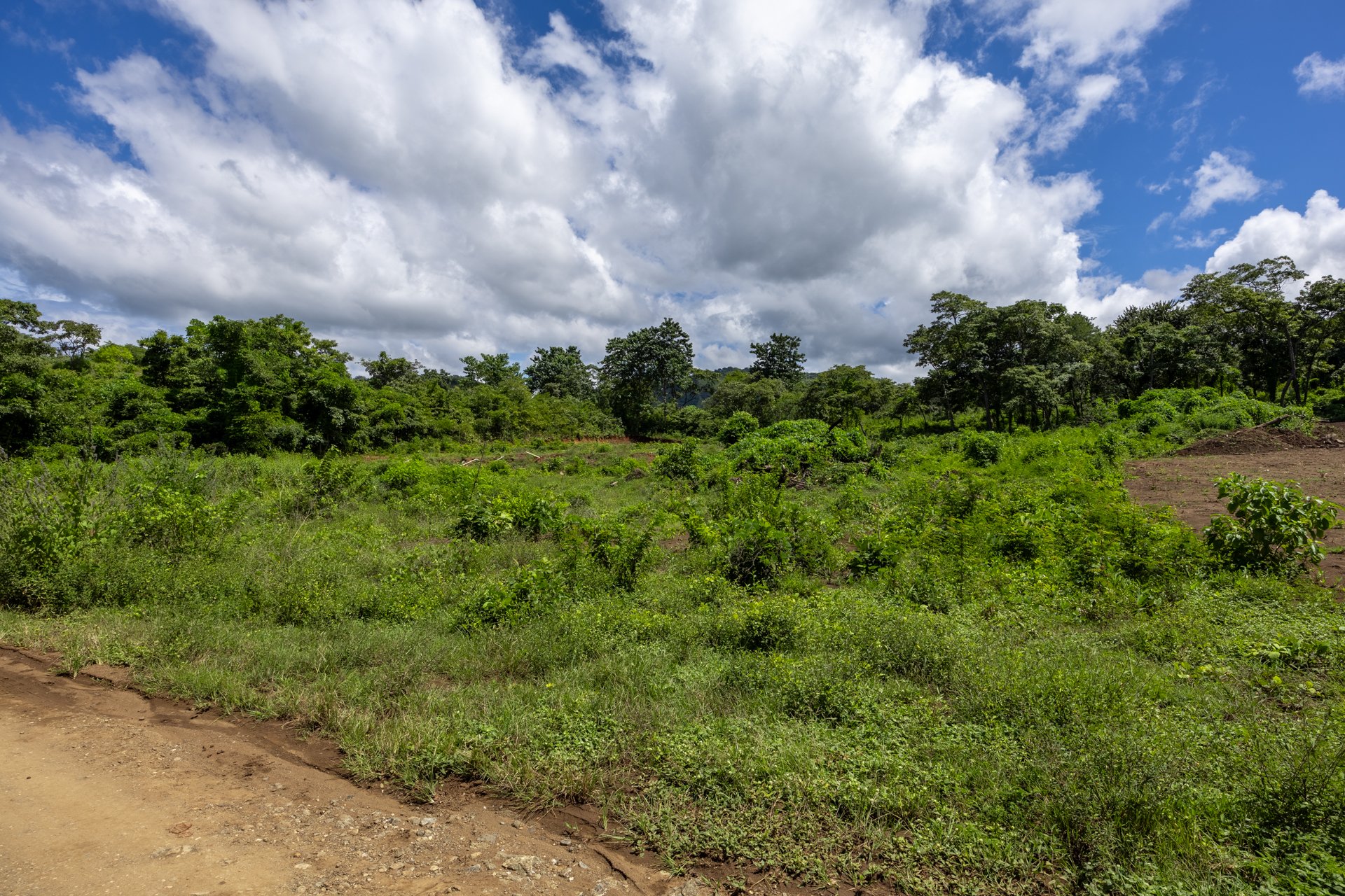 Lot Norte – Potrero | 5,000 m² Flat Build-Ready Lot Near the Beach