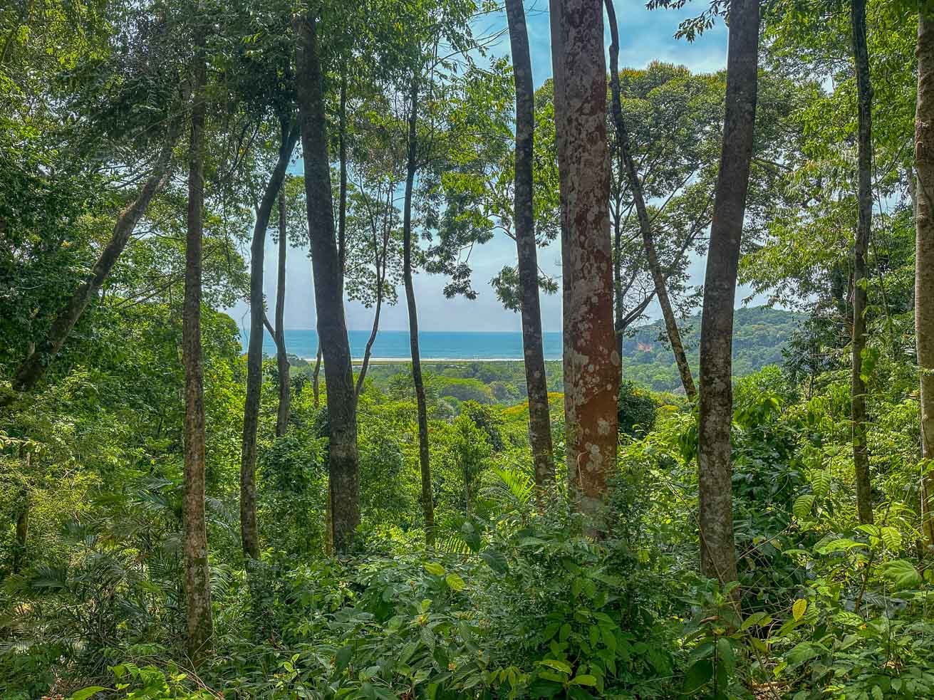 23-Acre Prime Highway Frontage Lot Near Ojochal & Ocean