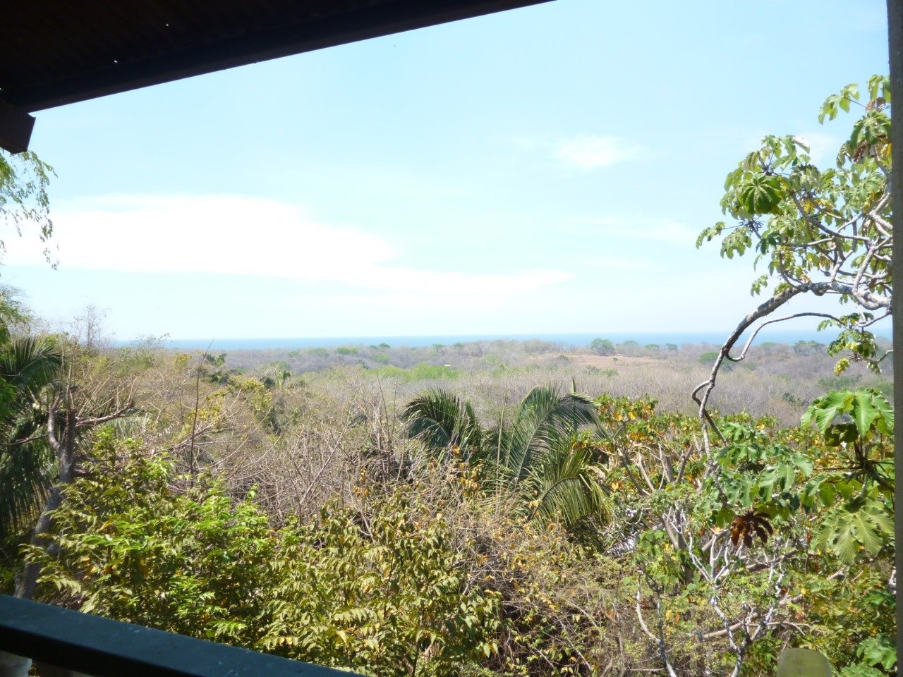 San Juanillo Farm | Large-Scale Ocean View Land with Investment Potential