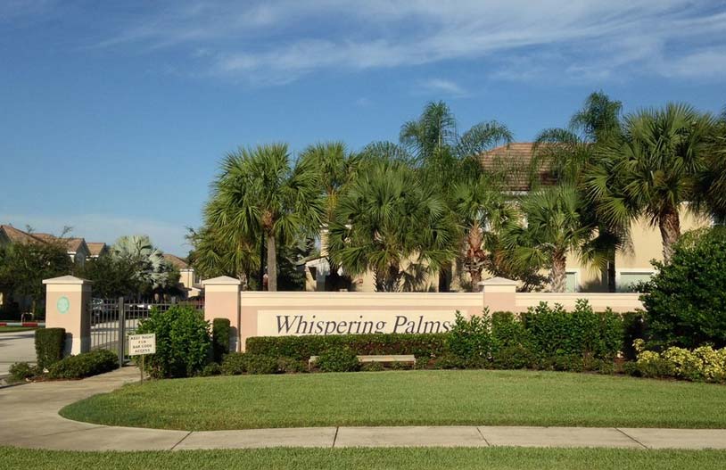 Whispering Palms