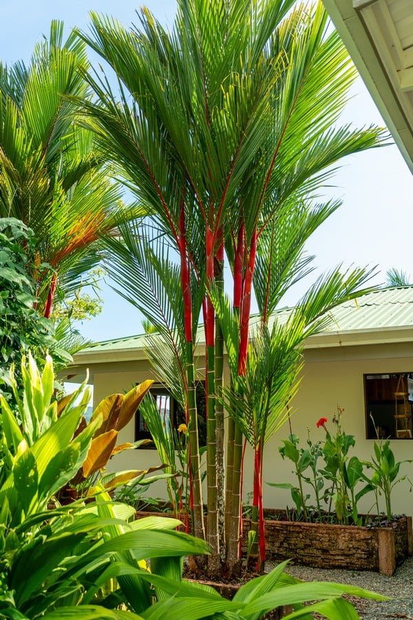  3 Bedroom Stunning Luxury Home Featuring Sweeping Valley & Ocean Views, 5.67 ACRES 