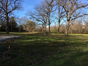 Hawthorn Woods / Kildeer
