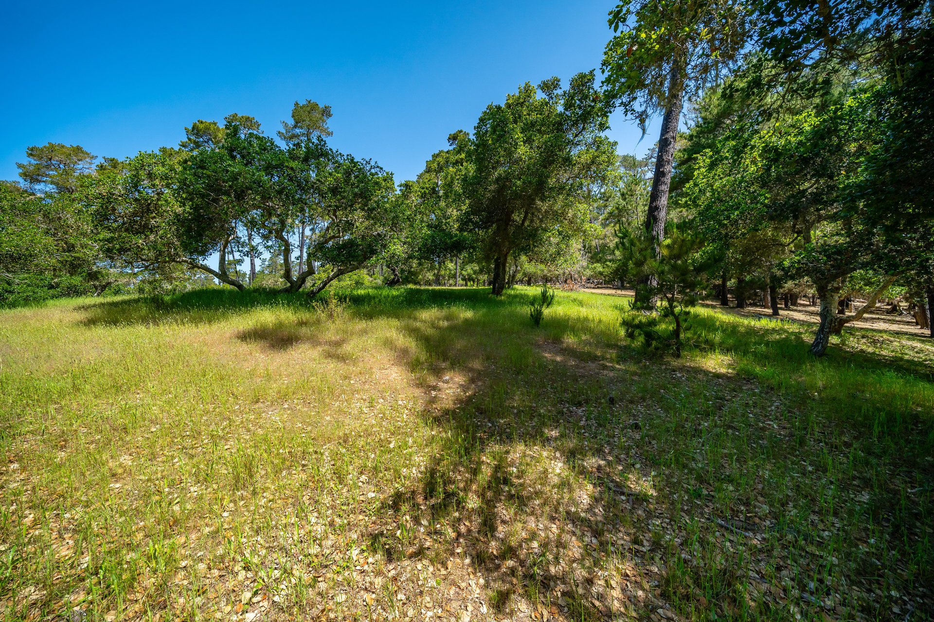 Serene Cambria Lot