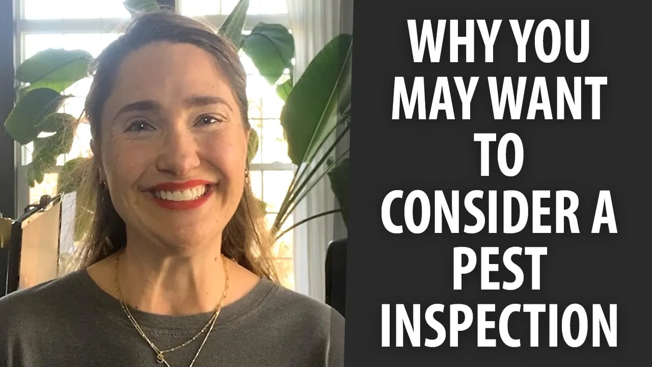 Homeowners: It’s Time to Shore Up Your Pest Control