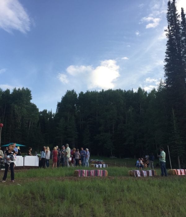 Music in the Meadows