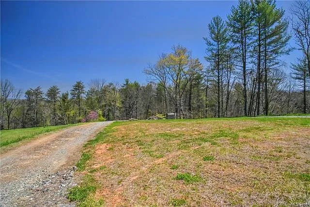 Vacant grassy lot with a curving gravel driveway and mature trees along the back.
