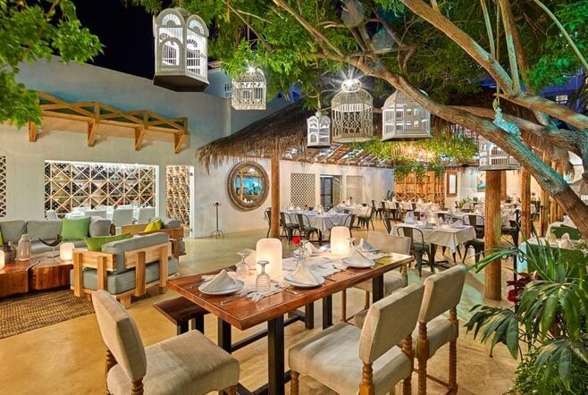 The Ever Appreciating Market of Cabo