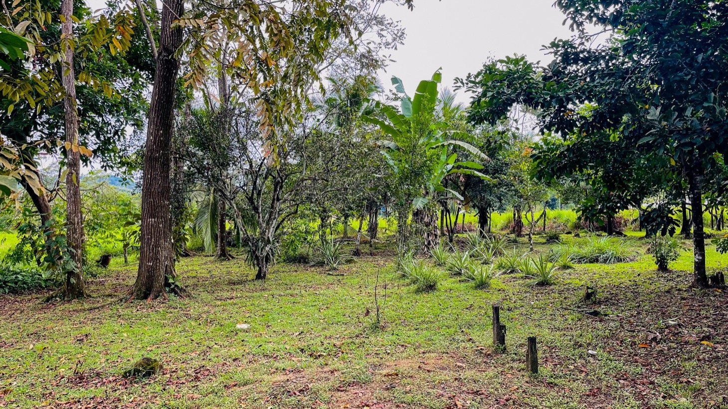 House for Sale in Ojochal, Costa Rica – Traditional Charm on 2.75 Acres