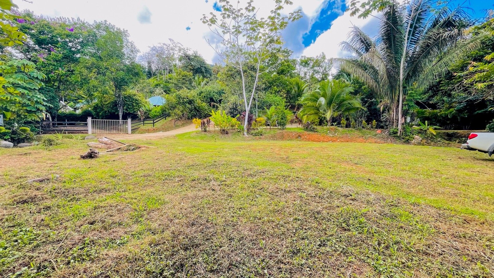 COSTA RICA LAND FOR SALE | LARGE FLAT PRIVATE PROPERTY WITH MOUNTAIN VIEWS, RIVER & FRUIT TREES