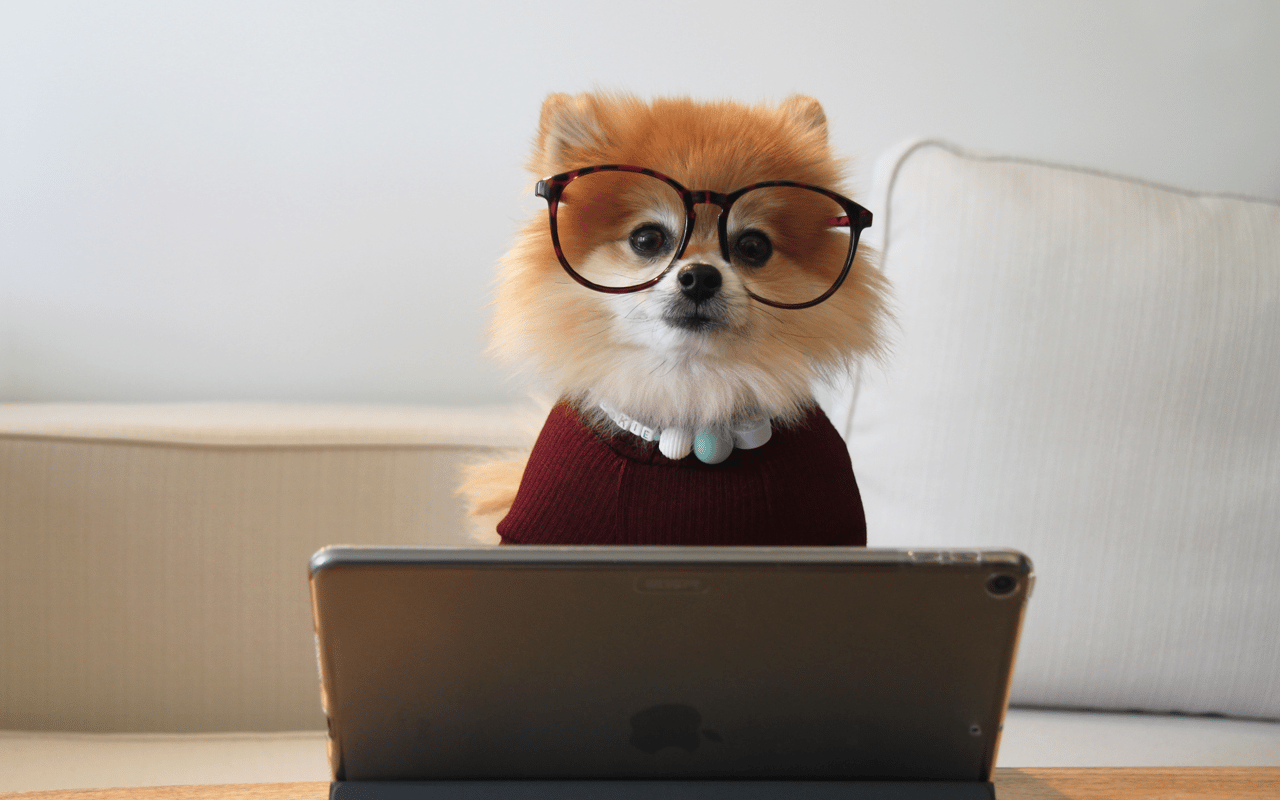 Zestimates, Restimates, and Testimates: Are Online Home Value Estimates Accurate?