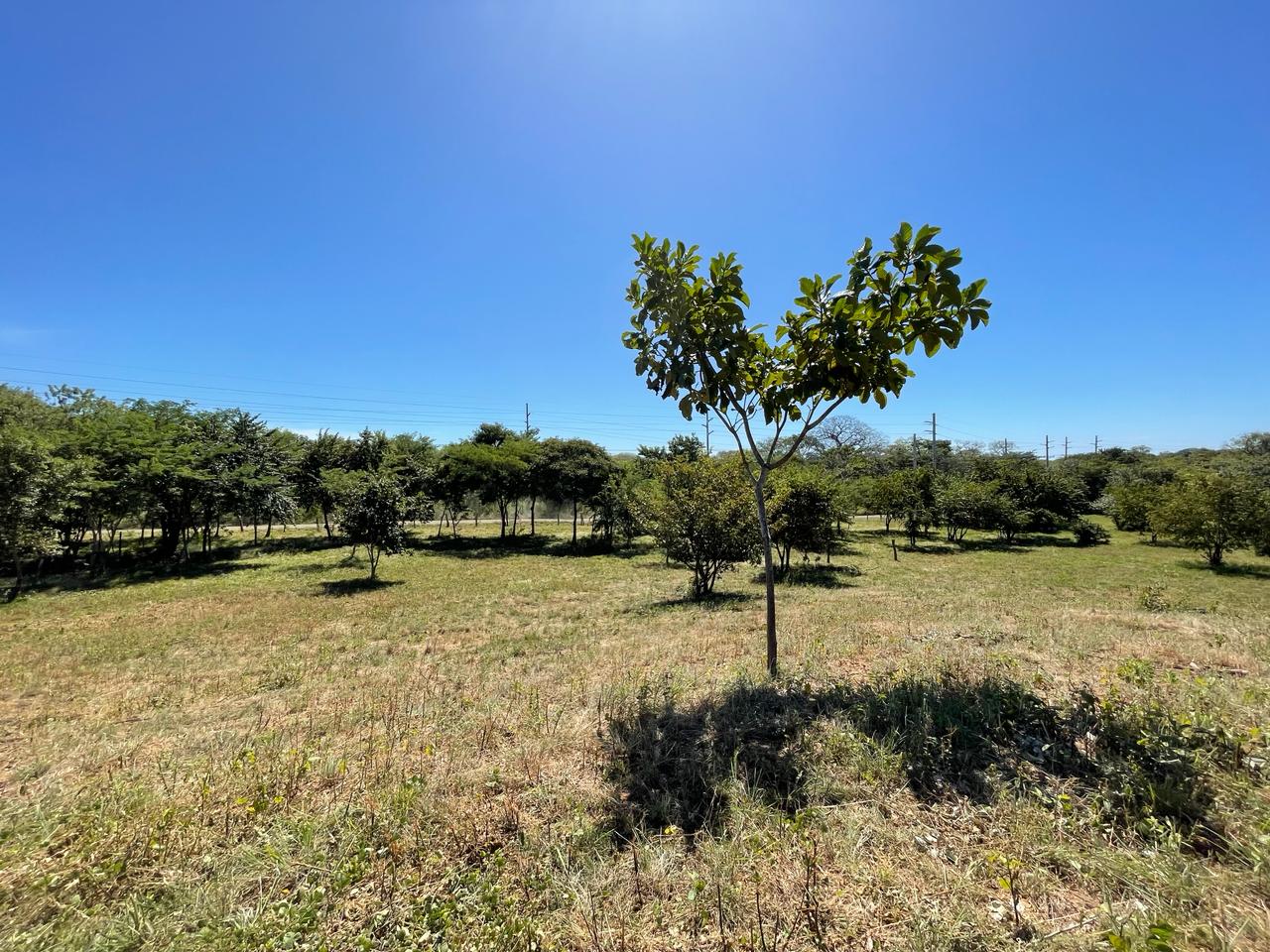 Beautiful Estate Lots Strategically Located in Villareal – Tamarindo – Guanacaste