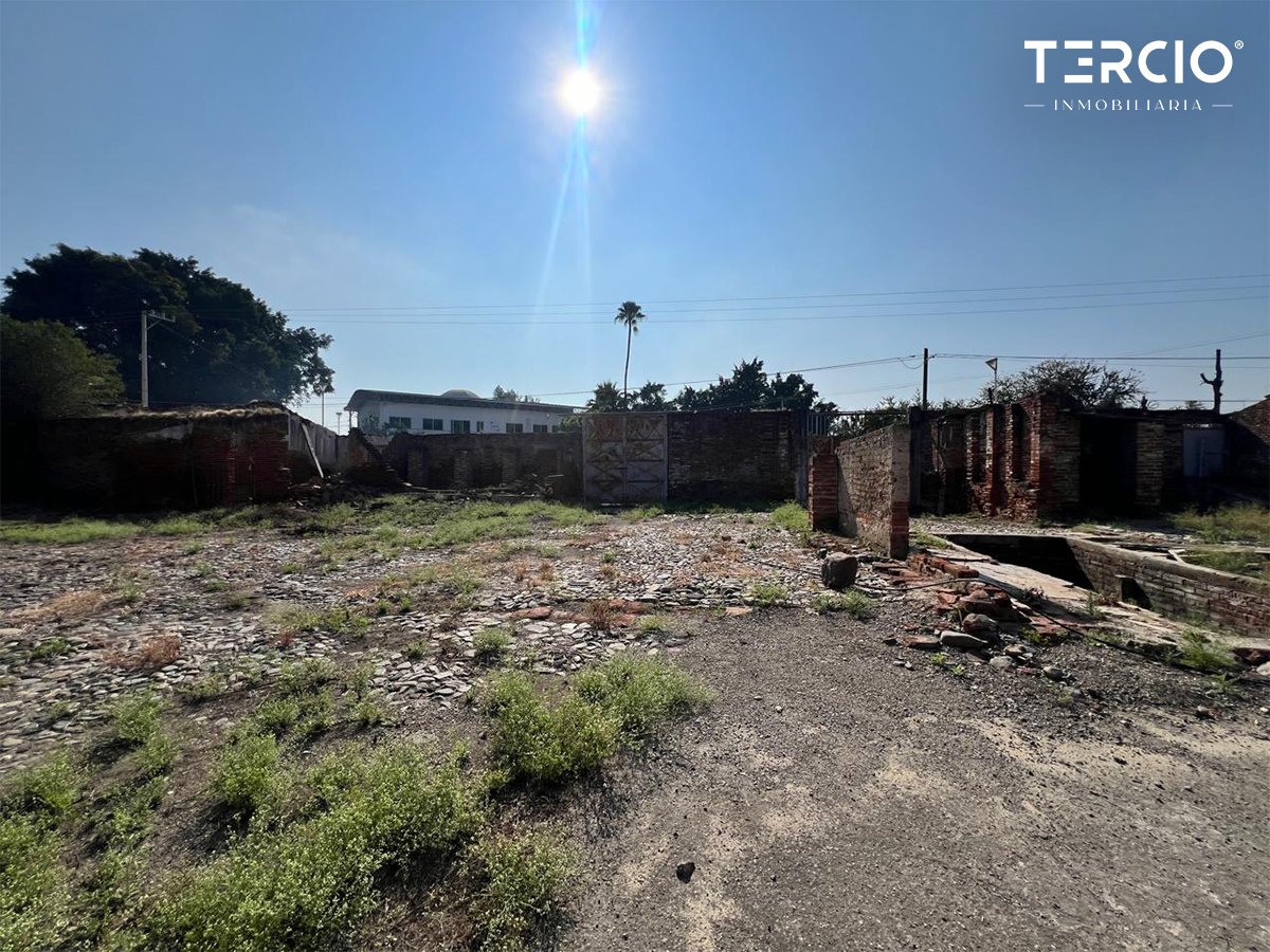 Propiedad en Renta uso de suelo Mixto Ameca $60,000.00 MN