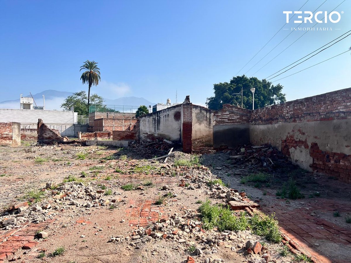 Propiedad en Renta uso de suelo Mixto Ameca $60,000.00 MN