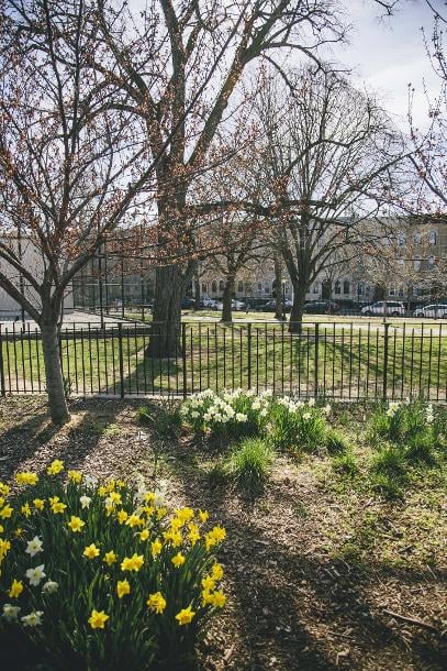 8 Palmetto - New York City, NY