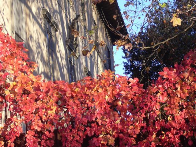 Magnificent Historic Villa in Tuscany