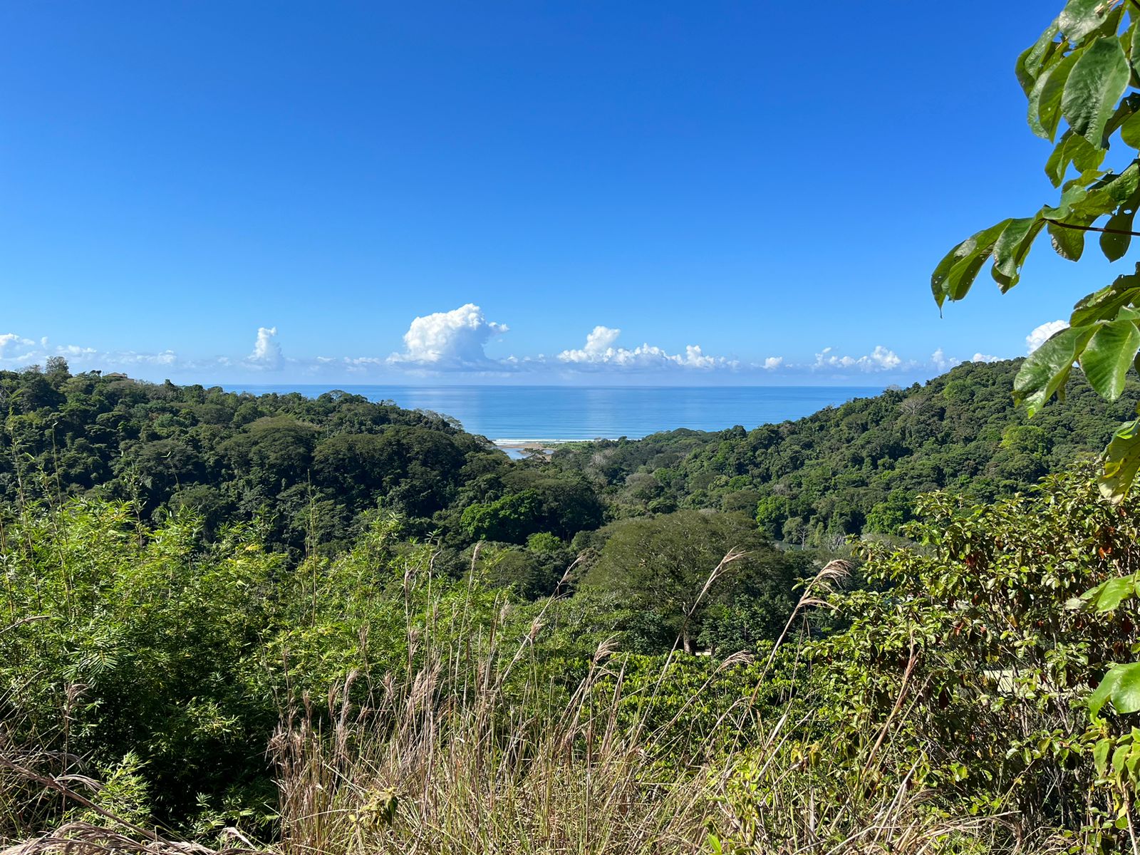 Cinematic Ocean&Mountain View Property In Vista Dominical Estate, Minutes From The Beach!