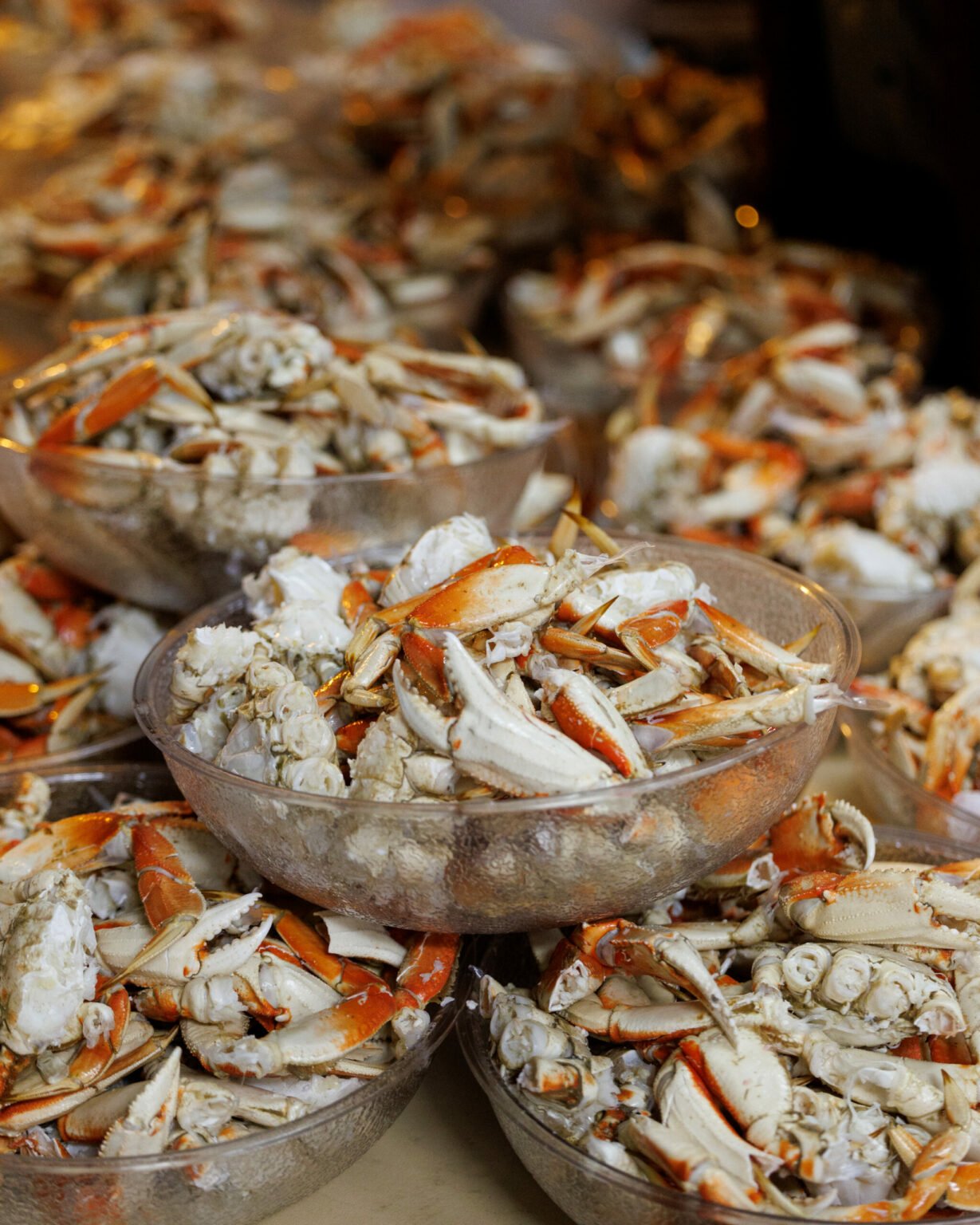 Guide to Sonoma County Crab Feeds 2025