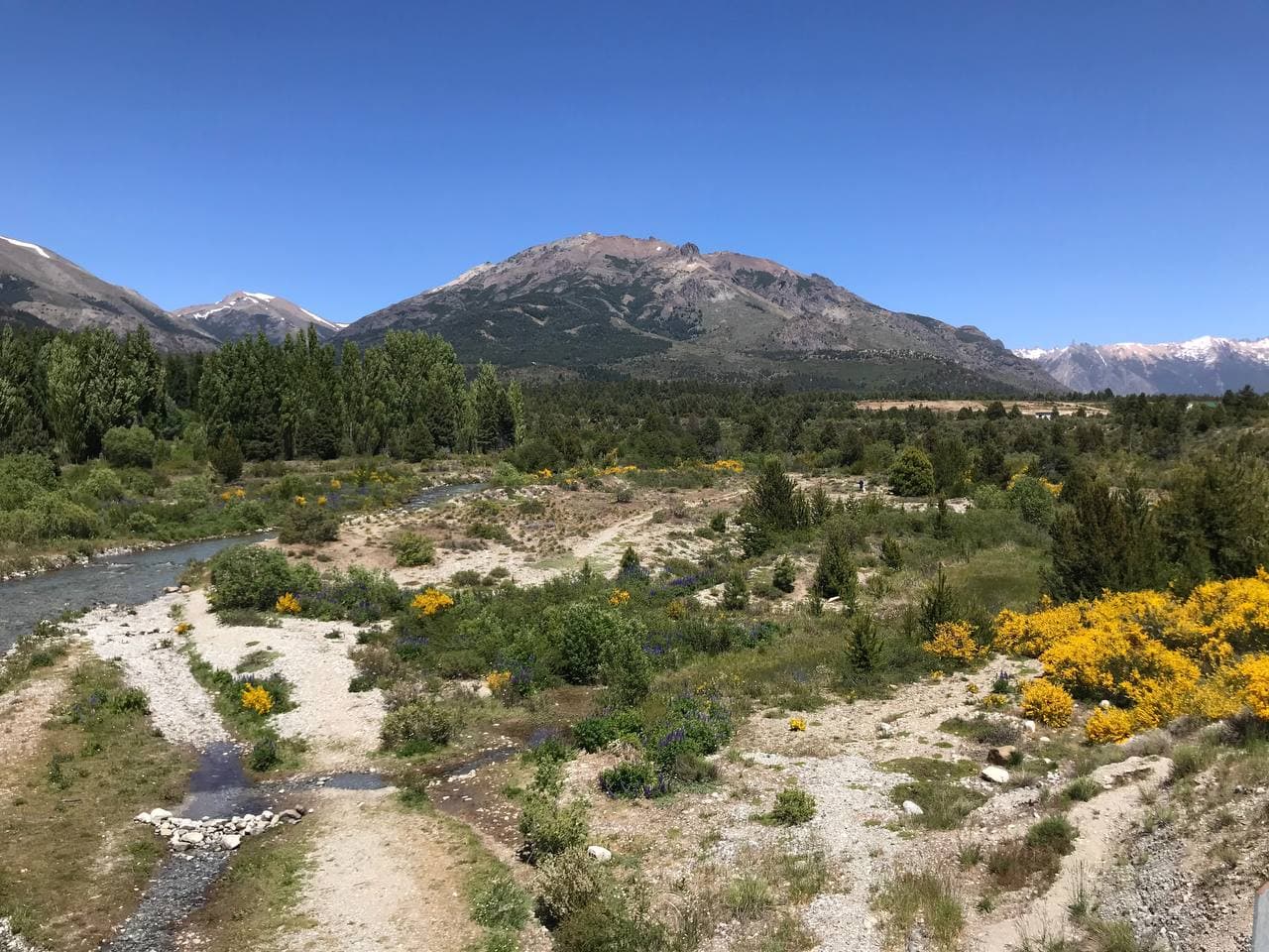 Undeveloped Ñireco land with a winding stream and forested mountain views.