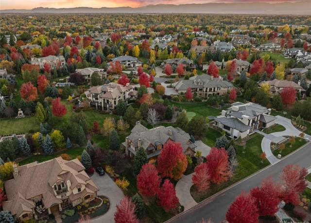 Pet-Friendly Living in Greenwood Village, CO