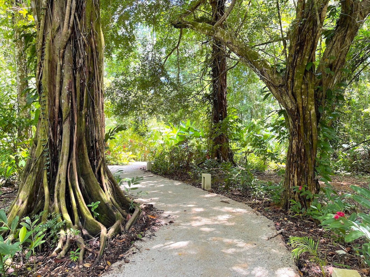 ELAN GROUND FLOOR 2 BEDROOM CONDO WITH BEACH ACCESS. UNIT 4E