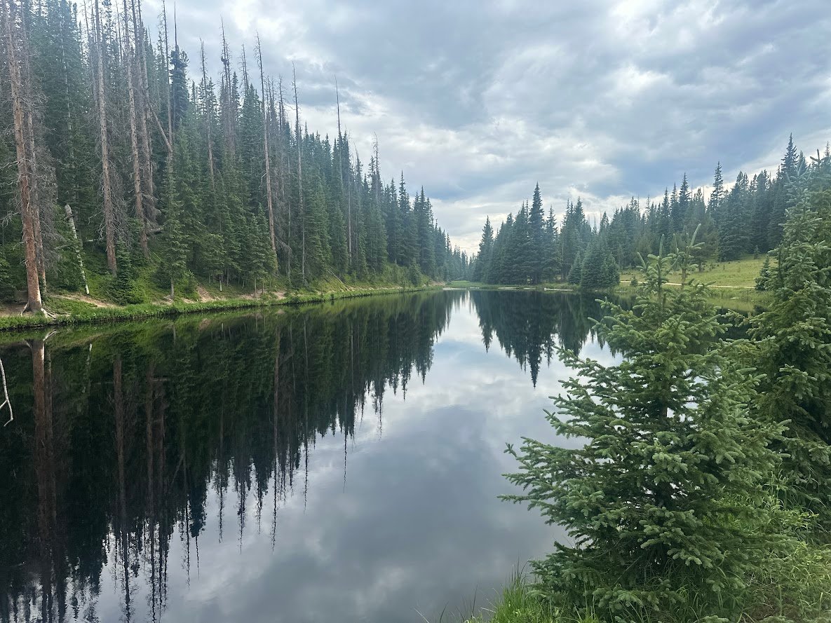 Where the Road Meets the Sky: Driving Trail Ridge Road