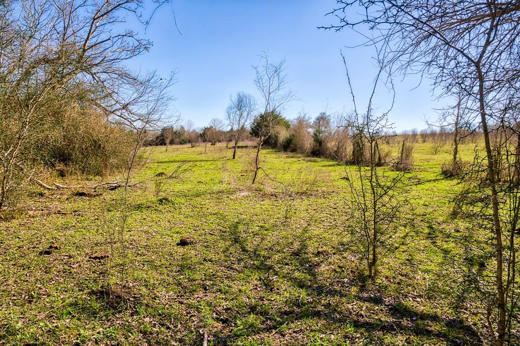 TBD Trackside Rd Chappell Hill, Tx 77426