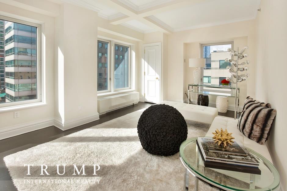 502 Park Ave, PH27