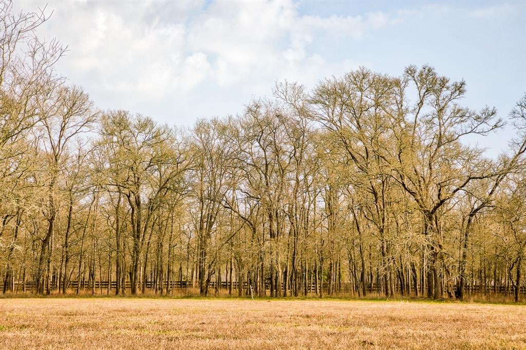 3539 River Rd 8 Acres