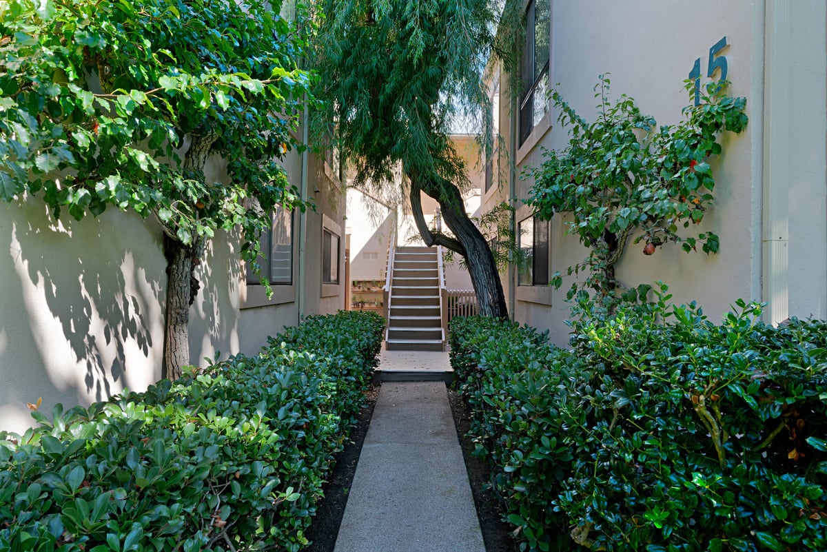 579 S. Sierra