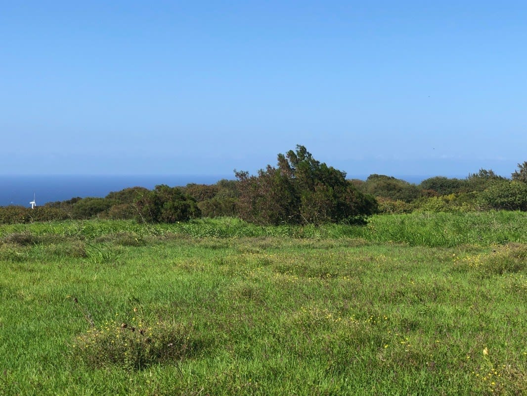 NORTH KOHALA LOT #312