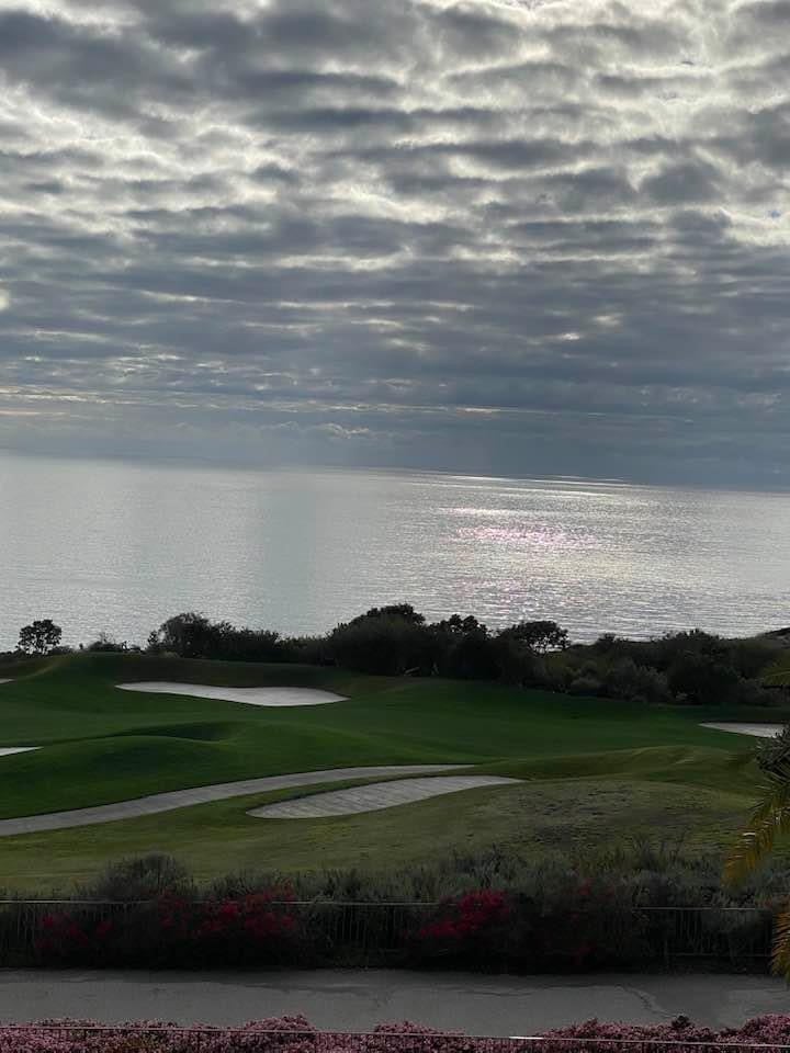 Ocean Terrace
