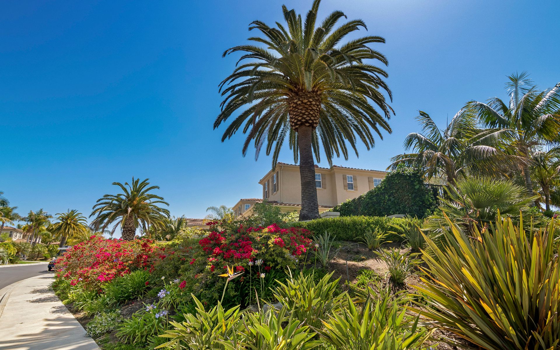 7418 Pelican Street