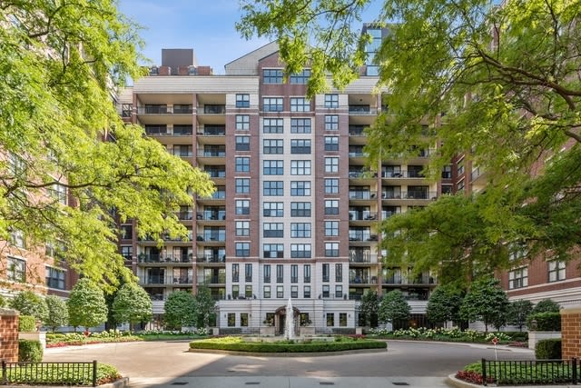 55 W Delaware Pl Unit 313