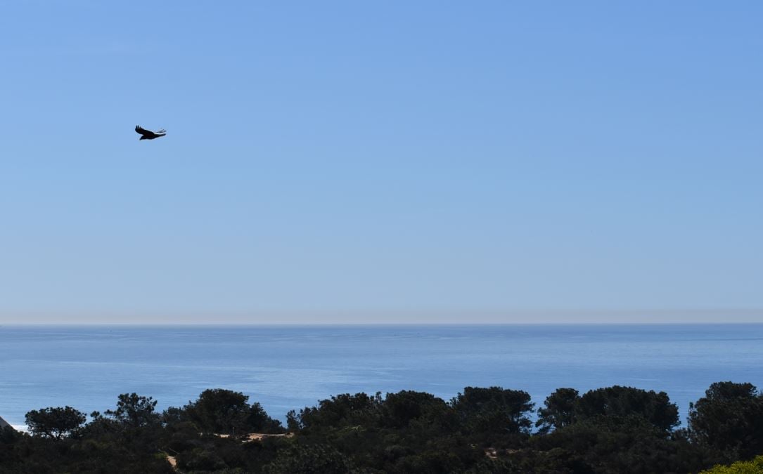 Pano Ocean View in Del Mar Heights