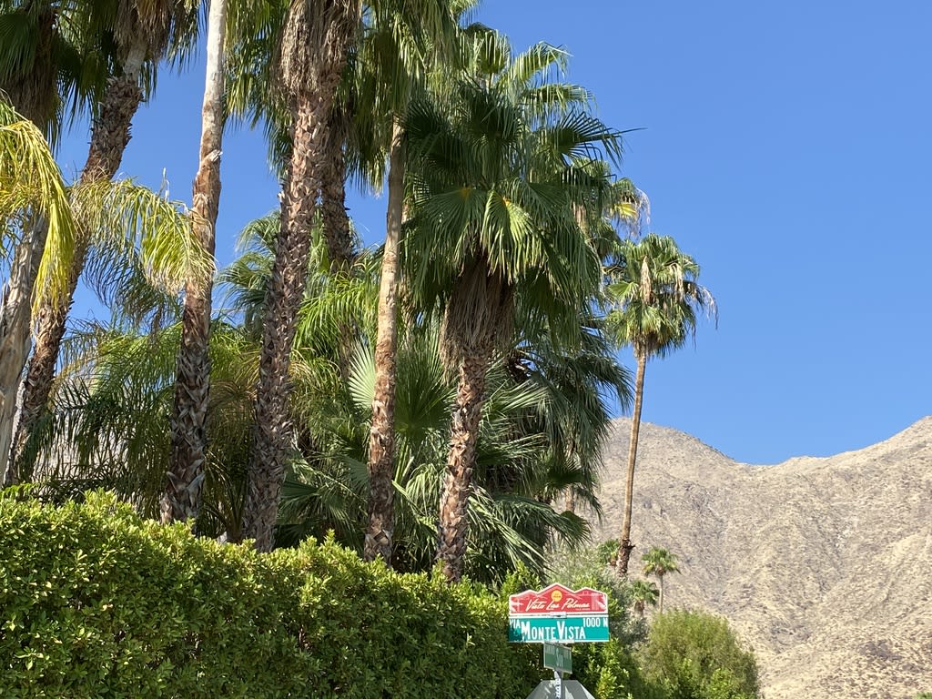 Vista Las Palmas 