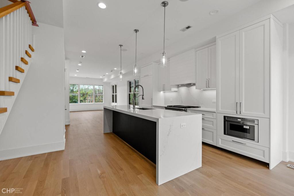 Wicker Park New Construction: 1909 W. Schiller #2E