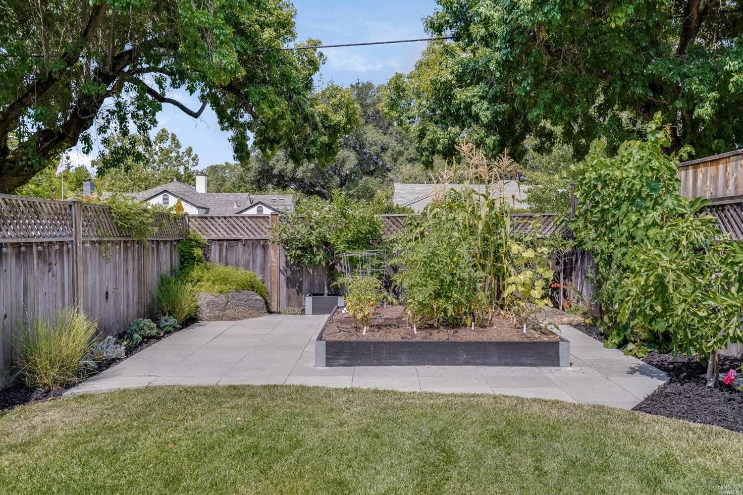 Hartson, Napa