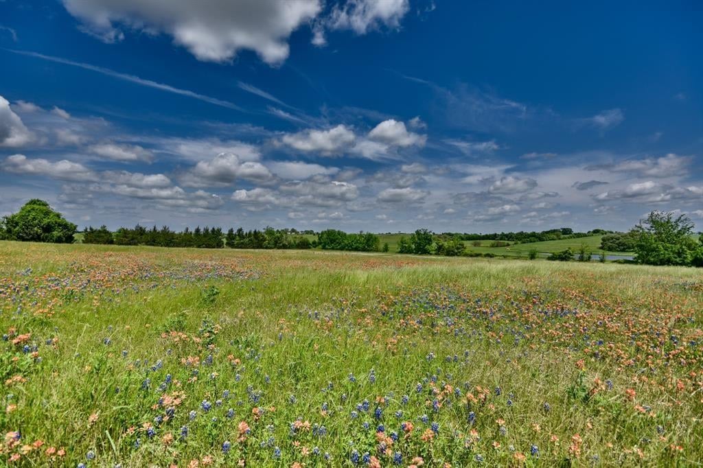 000 Spreen Rd Brenham, Tx 77833