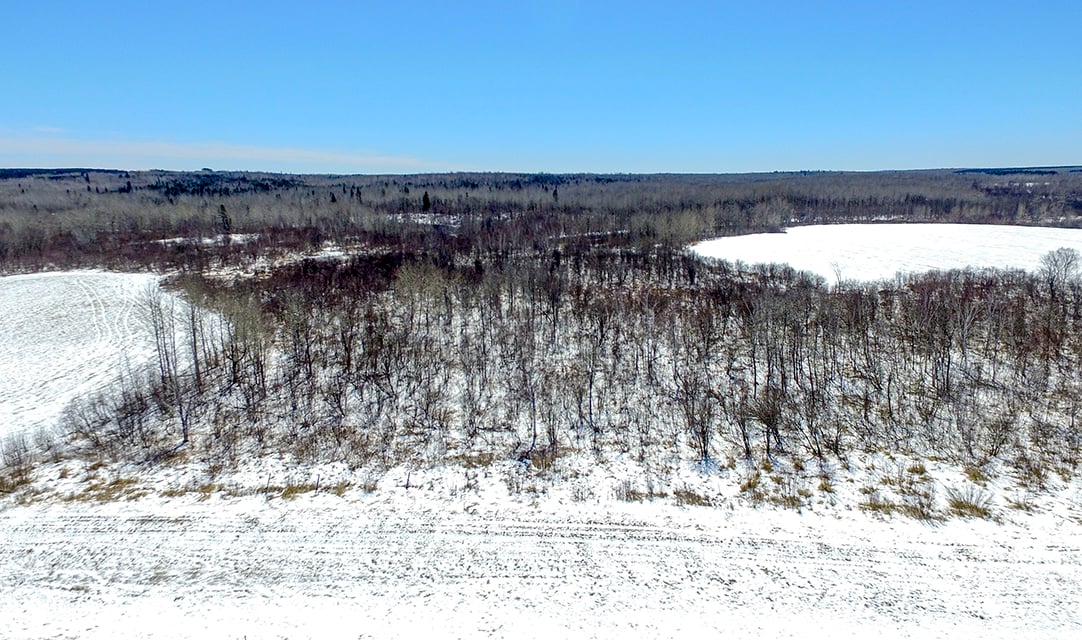 Carlton County