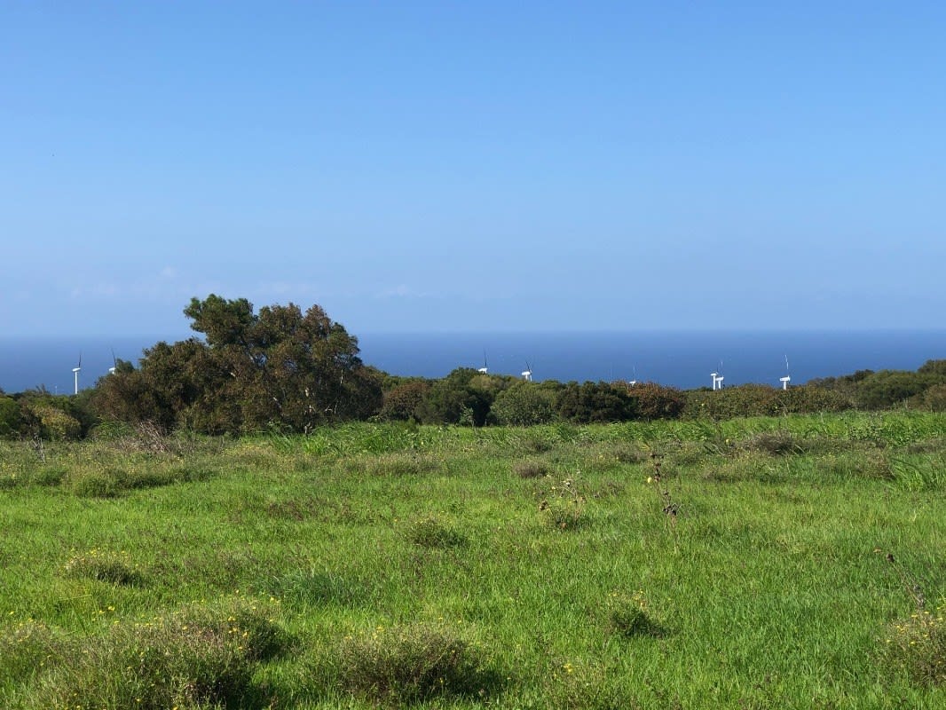 NORTH KOHALA LOT #312