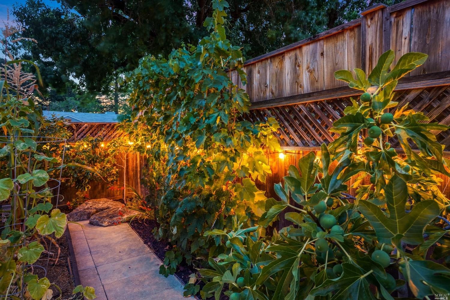 Hartson, Napa