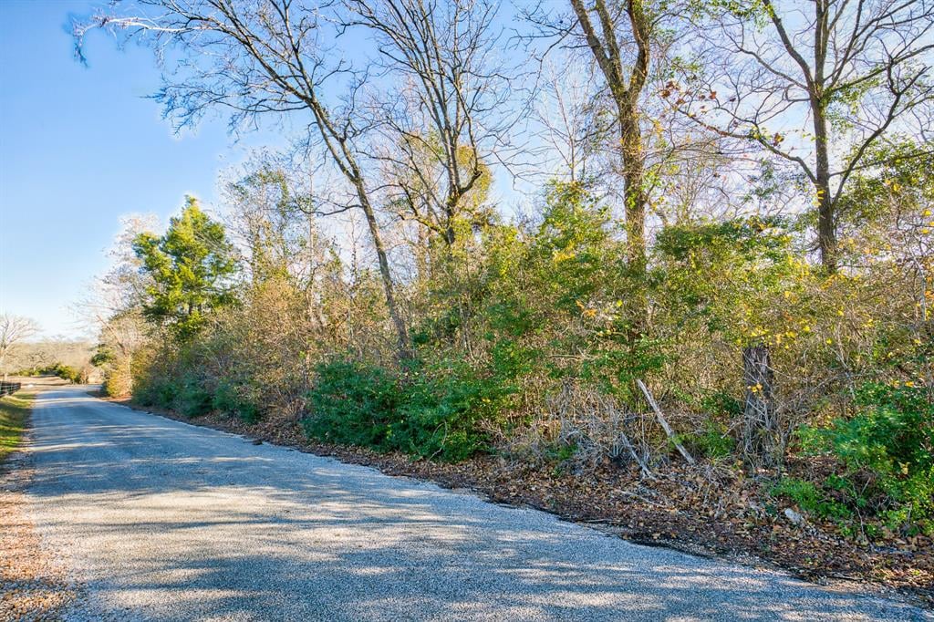 TBD Ellerman Rd Brenham, Tx 77833